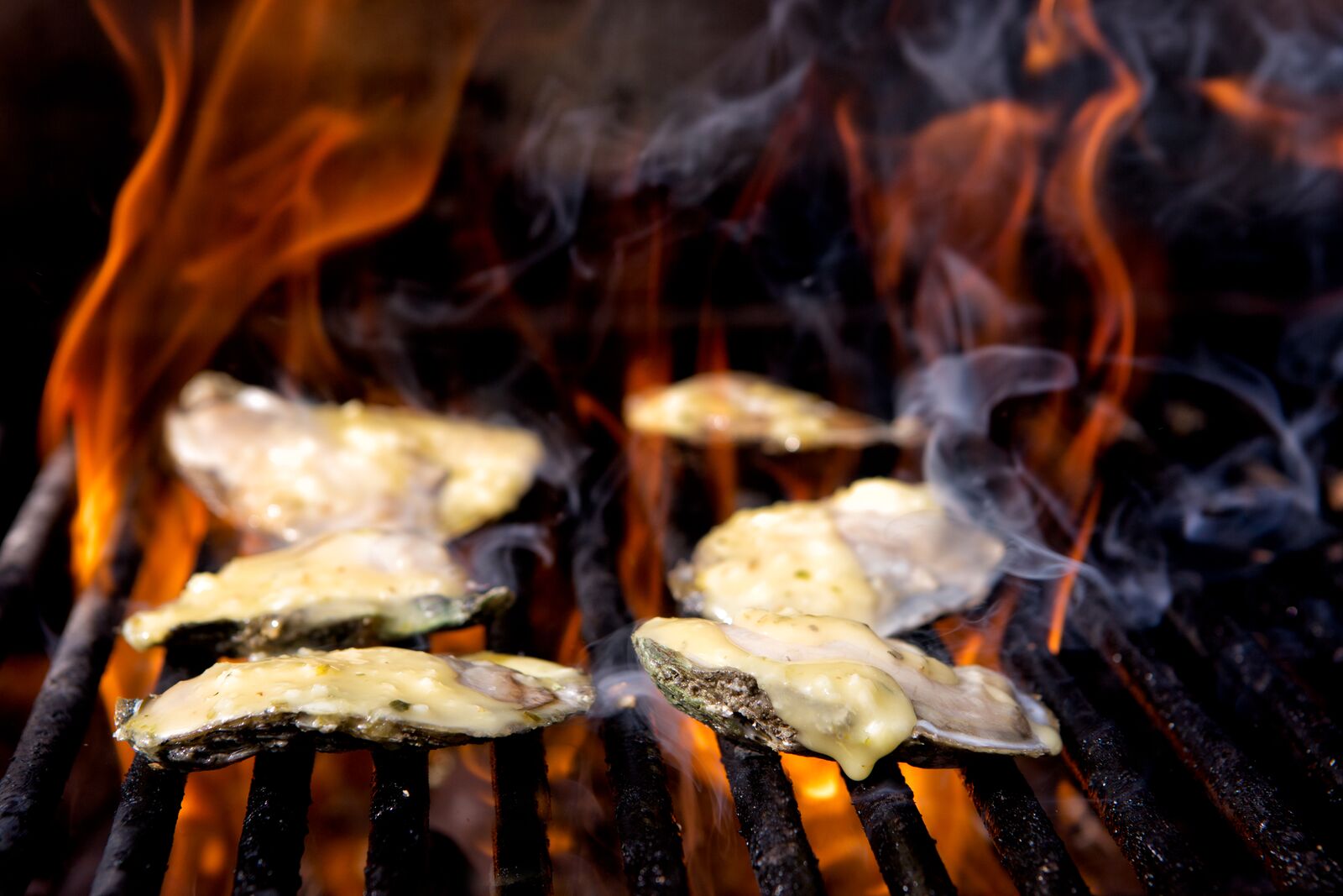 Oysters grilling over an open fire